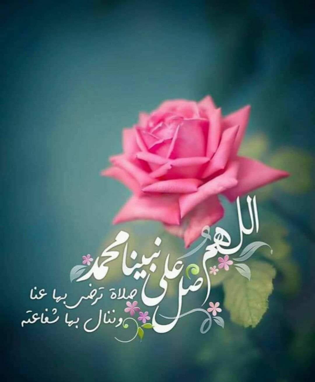 أسماء سليمان